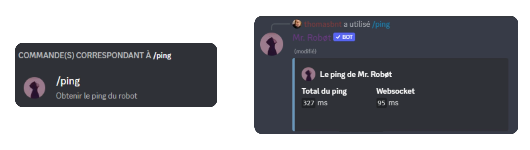 La commande ping en Slash Command